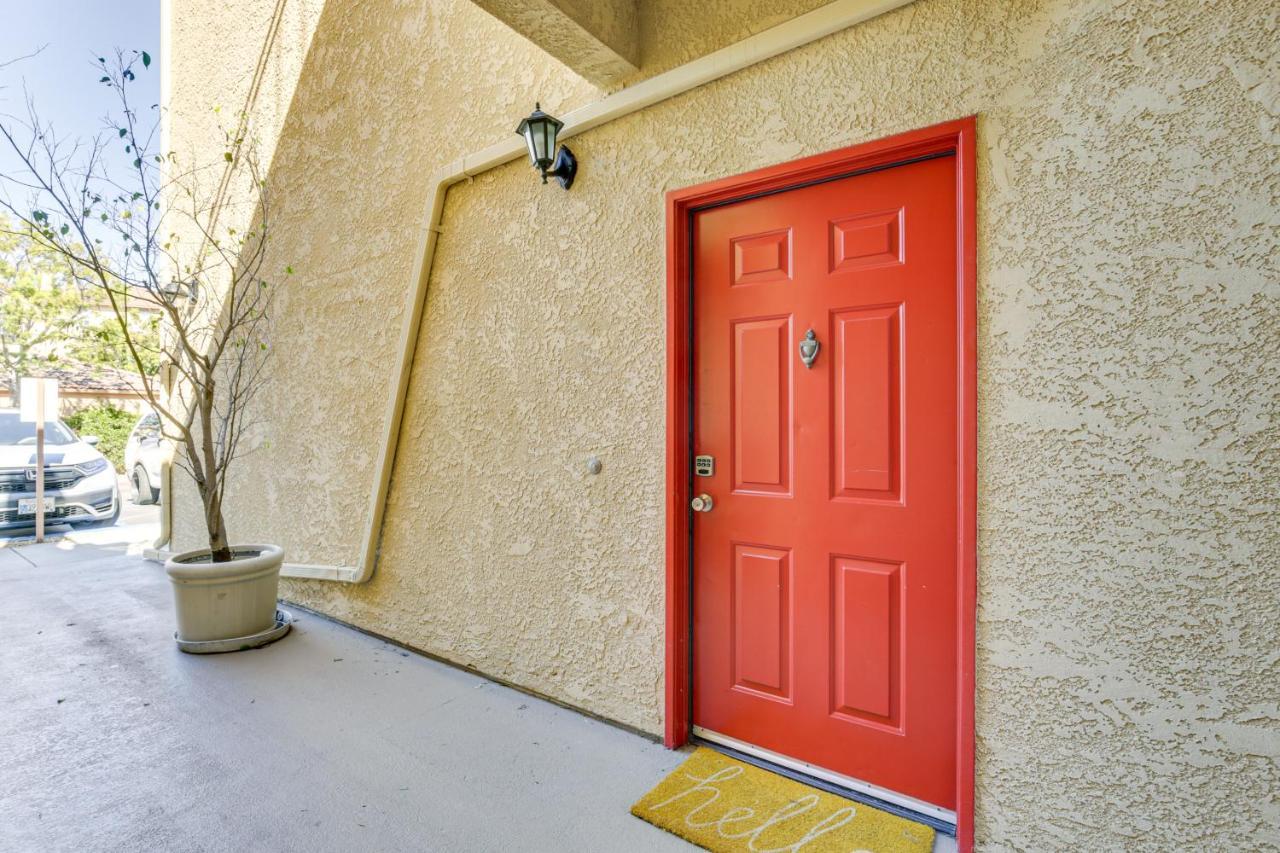 Modern Pet-friendly Vacation Apartment *